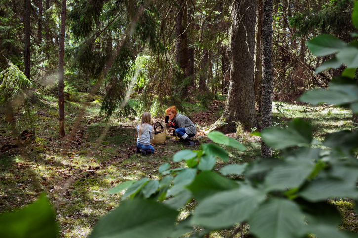 Kvinna fotar barn när de plockar svamp i skogen.